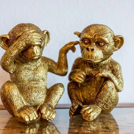 Vila Casa Monkey Business