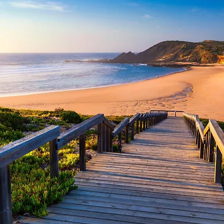 Willa Casa Monkey Business